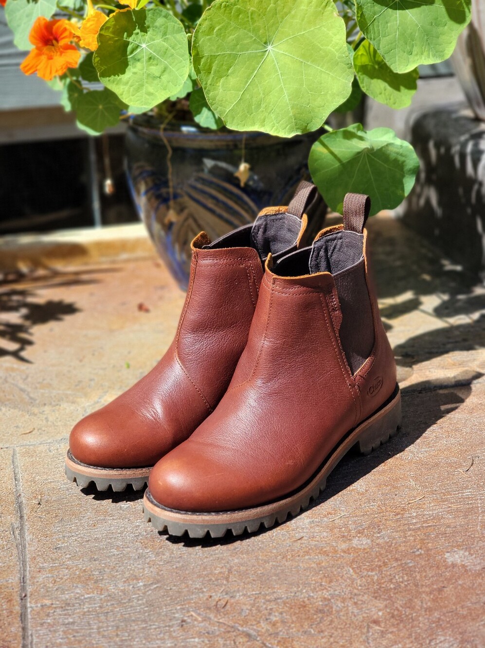 Chaco Women's Field Chelsea Waterproof Boots 7.5